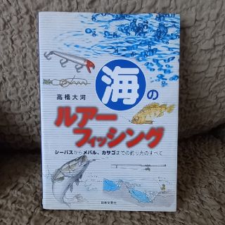 海のルアーフィッシング(ルアー用品)