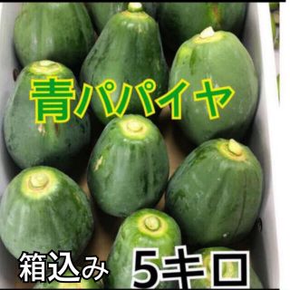 青パパイヤ⭐️箱込み5キロ(野菜)