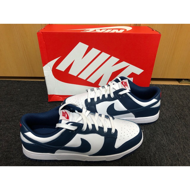 NIKE DUNK LOW ダンクロー バレリアンブルー 29㎝-