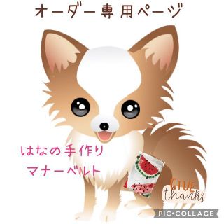 ハッピータン様専用ページ(犬)