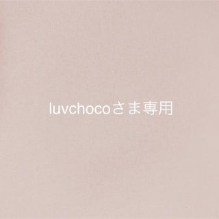 luvchocoさま＊オーダー品になります(外出用品)