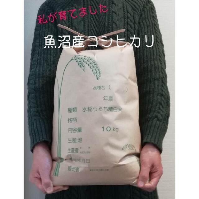お米10kg×2 合計20kg 令和3年魚沼産コシヒカリ 玄米