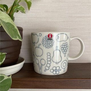 イッタラ(iittala)の新品未使用◇Iittala イッタラ  フルッタ　マグカップ　パールグレー(グラス/カップ)