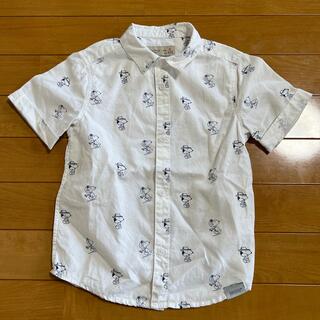 ザラキッズ(ZARA KIDS)の半袖シャツ　110(Tシャツ/カットソー)