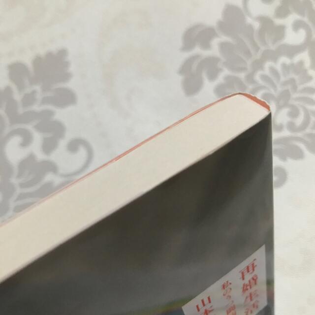 再婚生活 私のうつ闘病日記 エンタメ/ホビーの本(その他)の商品写真