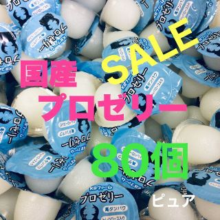 昆虫ゼリー プロゼリー 16g 80個 クワガタ・カブト・ハムスター・モモンガ(虫類)