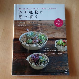 多肉植物の寄せ植え 変わった姿、おもしろい形、ぷっくり可愛らしくて癒さ(趣味/スポーツ/実用)