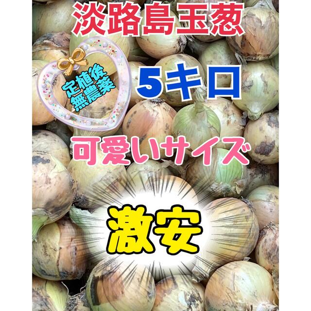 【農家直送】訳あり❢淡路島新玉葱。可愛いサイズ❣︎ 食品/飲料/酒の食品(野菜)の商品写真