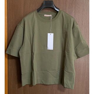 マルニ(Marni)の38新品 MARNI レディース コットンジャージー Tシャツ マルニ カーキ(Tシャツ(半袖/袖なし))