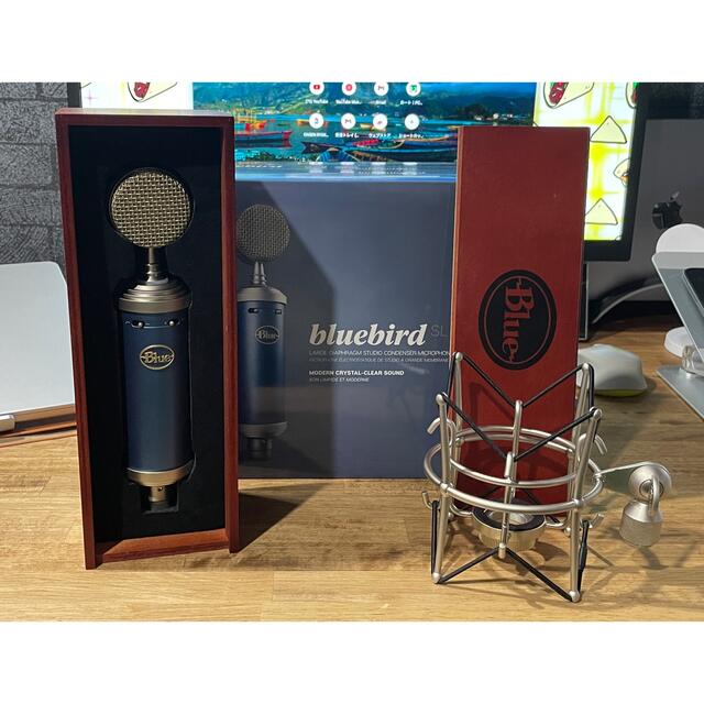 BLUE Bluebird SL コンデンサーマイク 国内外の人気集結! aleksandra
