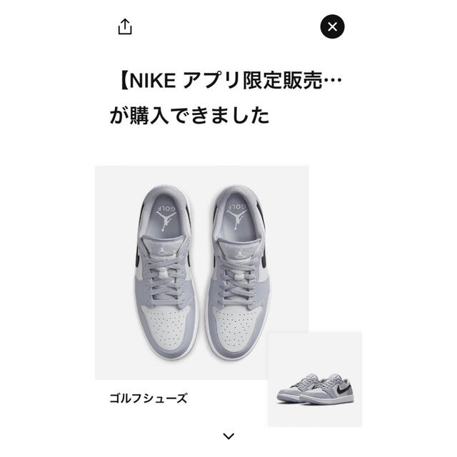 NIKE(ナイキ)のNIKE Air Jordan 1 Low Golf Wolf Grey 26 メンズの靴/シューズ(スニーカー)の商品写真