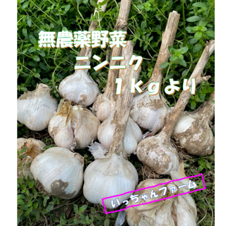 マーフィー様専用　千葉県産　ニンニク　２ｋｇ(野菜)