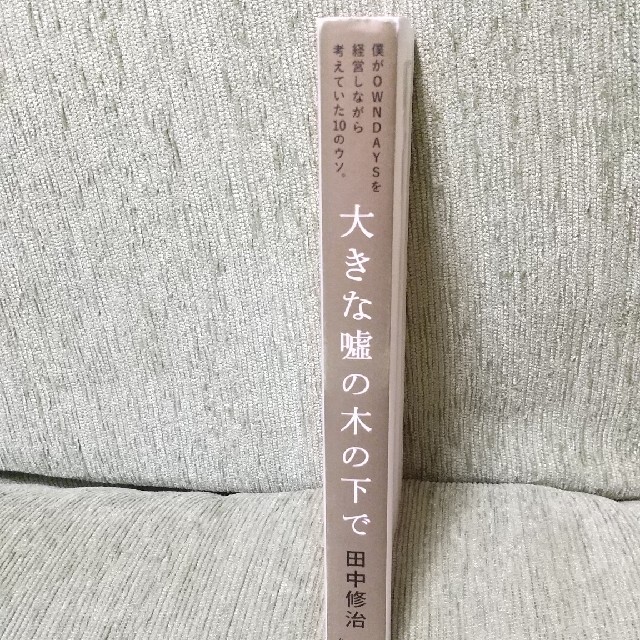 大きな嘘の木の下で 僕がＯＷＮＤＡＹＳを経営しながら考えていた１０のウソ エンタメ/ホビーの本(ビジネス/経済)の商品写真