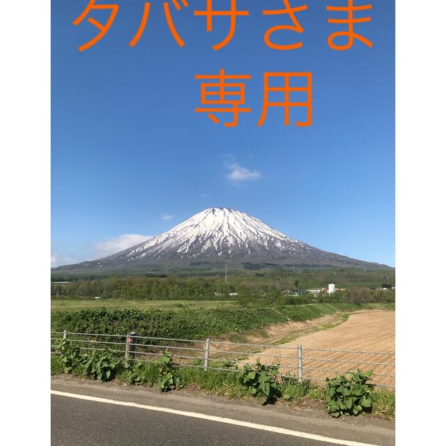 タバサさま専用 食品/飲料/酒の食品(野菜)の商品写真