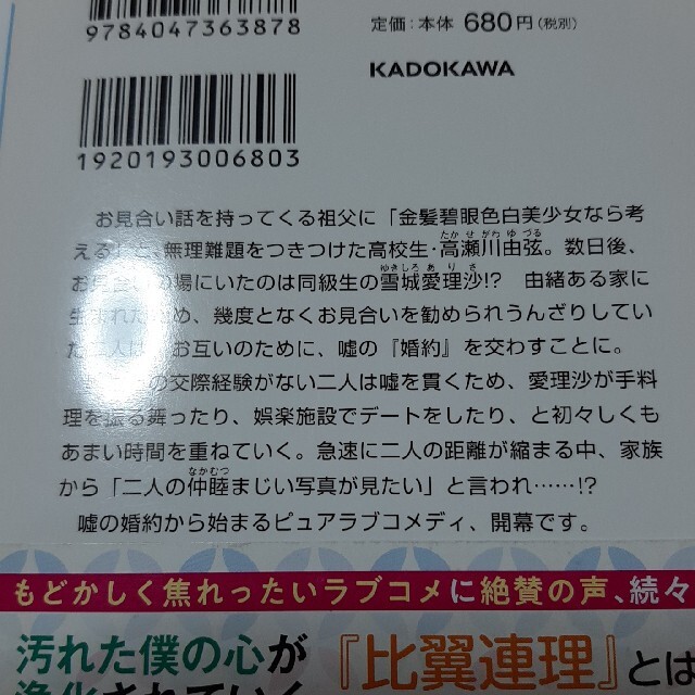 お見合いしたくなかったので、無理難題な条件をつけたら同級生が来た件について エンタメ/ホビーの本(文学/小説)の商品写真