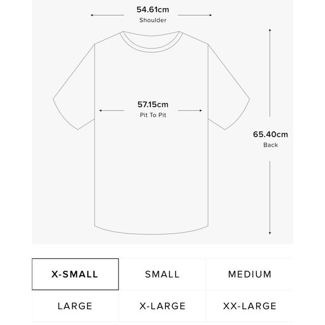FOG Essentials Tee Tシャツ グリーン 22SS XS メンズのトップス(Tシャツ/カットソー(半袖/袖なし))の商品写真
