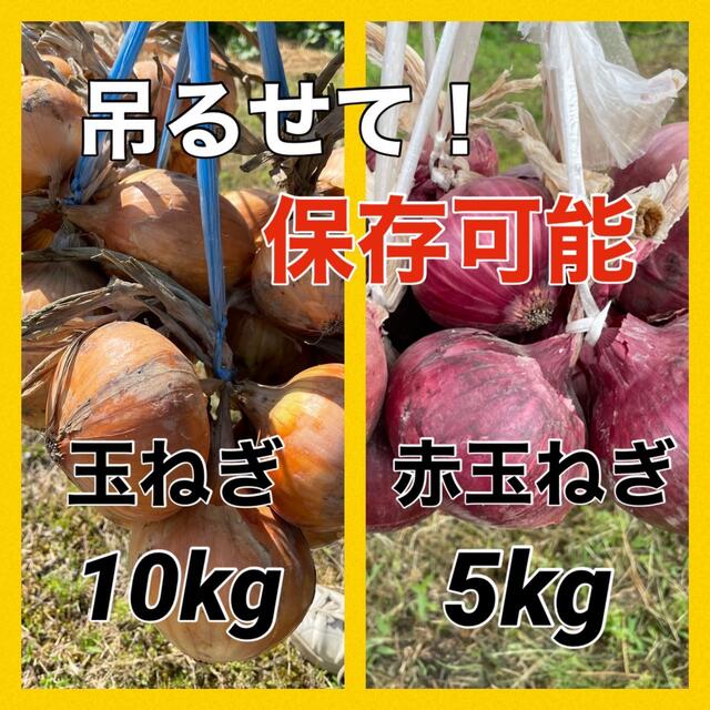 玉ねぎと、赤玉‼️どっちも欲しい方に‼️ 食品/飲料/酒の食品(野菜)の商品写真