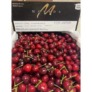 新入荷さくらんぼ　大号2kg(フルーツ)