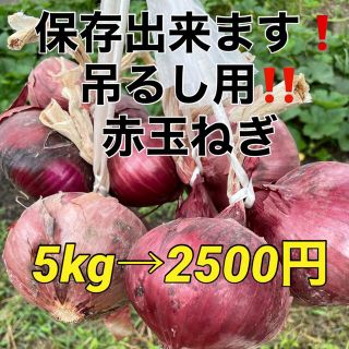 アントシアニンが豊富❗️赤玉葱をお届け‼️(野菜)