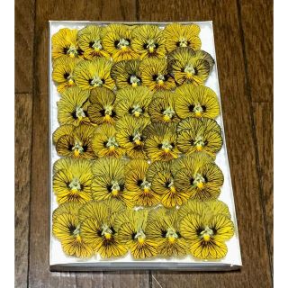 500円‼️④ 銀の紫陽花が作った超お買い得ビオラのドライフラワーです‼️(ドライフラワー)