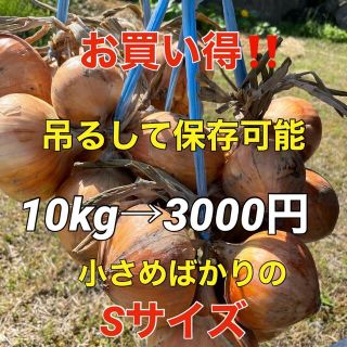 吊るして保存出来る❗️玉ねぎ10kg❣️Sサイズ(野菜)