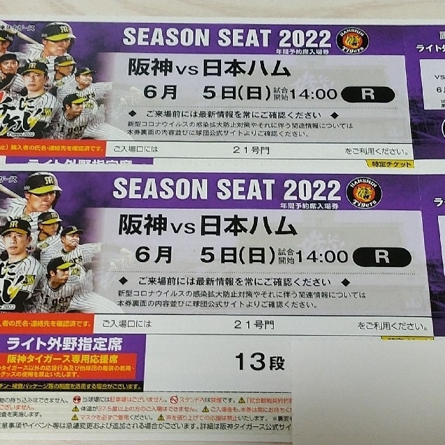 ６/５ (日)  交流戦  阪神vs日本ハム ライト外野指定席13段通路近ペア チケットのスポーツ(野球)の商品写真