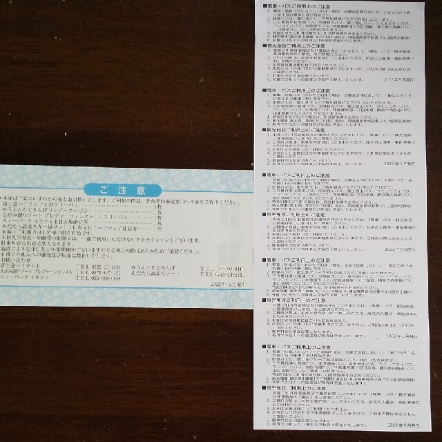 富士急遊園地フリーパス 2枚 チケットの施設利用券(遊園地/テーマパーク)の商品写真