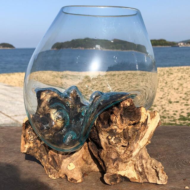流木ガラス オブジェ 大4 花瓶 金魚鉢 ガーデニング テラリウム 観賞魚