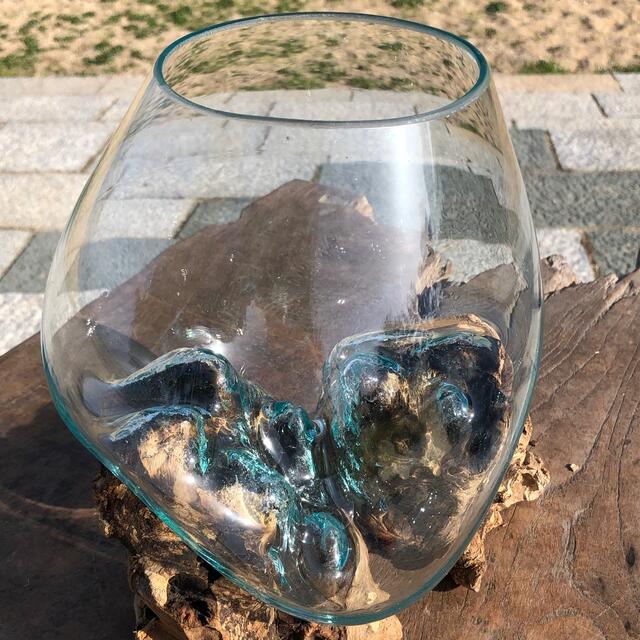 流木ガラス オブジェ 大4 花瓶 金魚鉢 ガーデニング テラリウム 流木ガラス オブジェ 大4 花瓶 金魚鉢 ガーデニング テラリウム