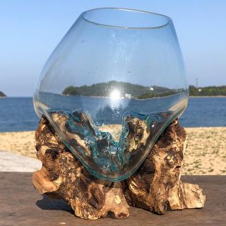 流木ガラス オブジェ 大4 花瓶 金魚鉢 ガーデニング テラリウム 観賞