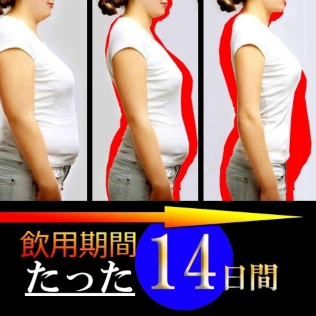 人気No.1 スリマーロジック ダイエットサプリ 60粒　2ヶ月分 コスメ/美容のダイエット(ダイエット食品)の商品写真