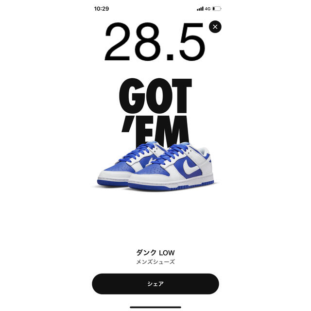 NIKE ダンクロー　Racer Blue and White   28.5cm