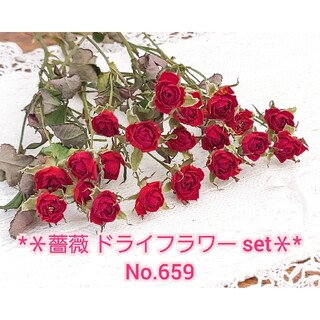 【即購入可】 薔薇 ドライフラワー セット No.659