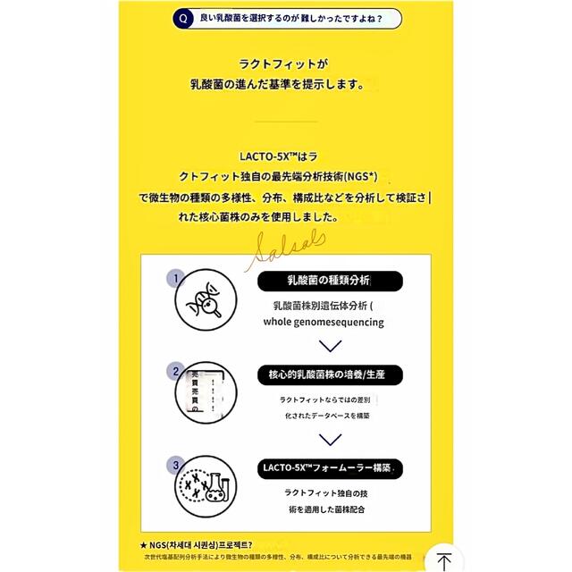 LACTO-FIT ラクトフィット 50包 乳酸菌 食品/飲料/酒の食品/飲料/酒 その他(その他)の商品写真