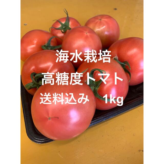 海水栽培　高糖度トマト　大分県産　1kg 食品/飲料/酒の食品(野菜)の商品写真