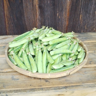 うすいえんどう800g(野菜)