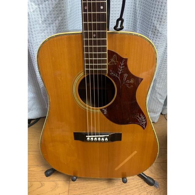 ジャガー　アコースティックギター　ジャパンヴィンテージ 楽器のギター(アコースティックギター)の商品写真