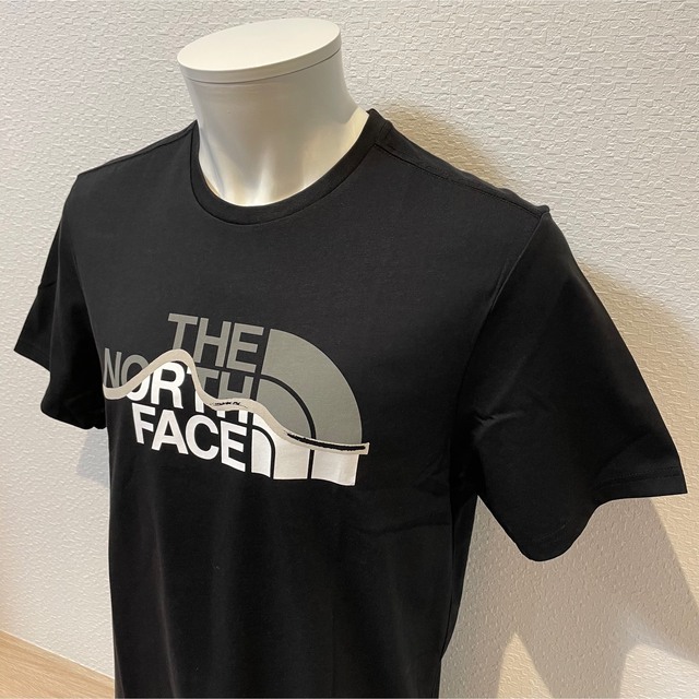 S新品THE NORTH FACEザノースフェイスプリントTシャツ半袖日本未発売