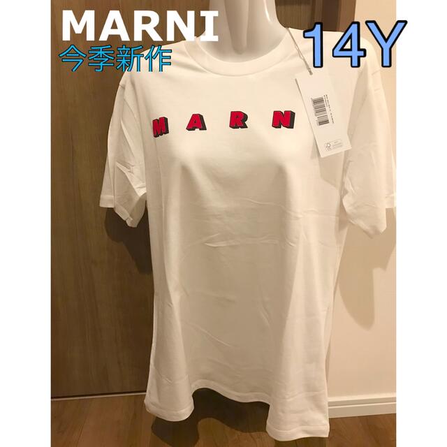 お早めに‼️MARNI ロゴ　Tシャツ ホワイト　新品未使用　14Y