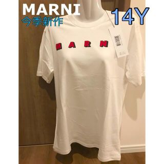 マルニ(Marni)のお早めに‼️MARNI ロゴ　Tシャツ ホワイト　新品未使用　14Y(Tシャツ(半袖/袖なし))