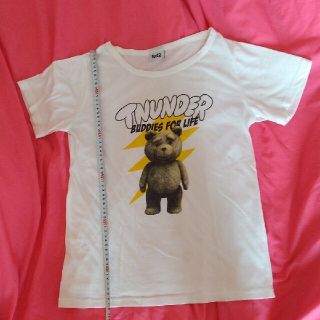 テッド ted2 Tシャツ Mサイズくらい 中古 雷兄弟 有吉弘行(お笑い/バラエティ)