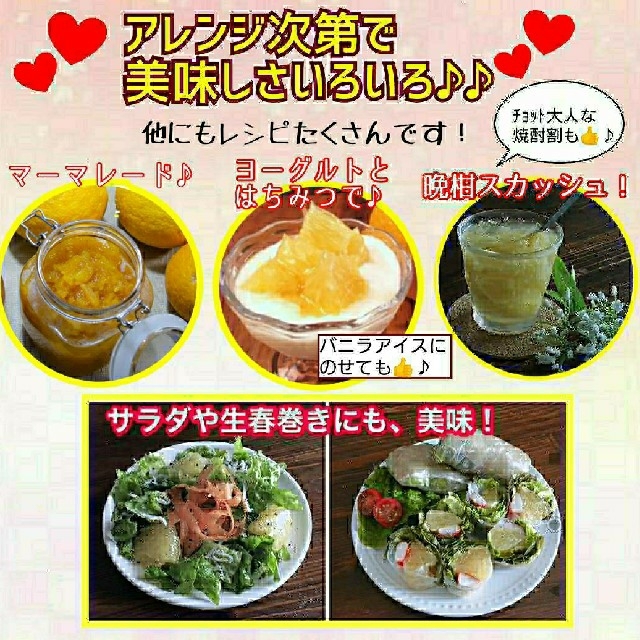 【限定】愛媛産☆河内晩柑(宇和ゴールド)☆家庭用 大玉 15ｷﾛ箱 食品/飲料/酒の食品(フルーツ)の商品写真