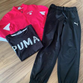 プーマ(PUMA)のPUMA ジャージ上下 セットアップ Tシャツ(その他)