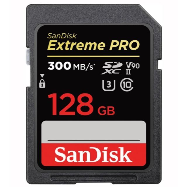 ■SANDISK　SDSDXDK-128G-JNJIP [128GB]