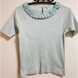 トッカ(TOCCA)のトップス　半袖　襟　水色　tocca(Tシャツ/カットソー)