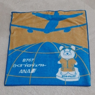 エーエヌエー(ゼンニッポンクウユ)(ANA(全日本空輸))のB767 白くまプロジェクト　ANA　タオルハンカチ　ベージュカラー(航空機)