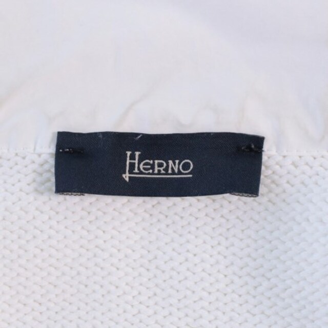 HERNO(ヘルノ)のHERNO ブルゾン（その他） メンズ メンズのジャケット/アウター(その他)の商品写真