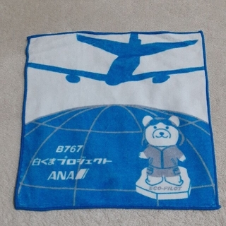 エーエヌエー(ゼンニッポンクウユ)(ANA(全日本空輸))のB767 白くまプロジェクト　ANA　タオルハンカチ(航空機)