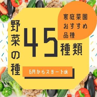 野菜の種　全45種類！1年中蒔ける　オールシーズン　超バリエーションセット固定種(その他)