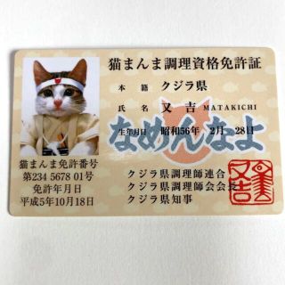 なめんなよ猫　調理免許　カード(キャラクターグッズ)